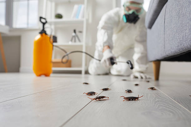 Commercial Kitchen Cockroach Control in Fall Creek